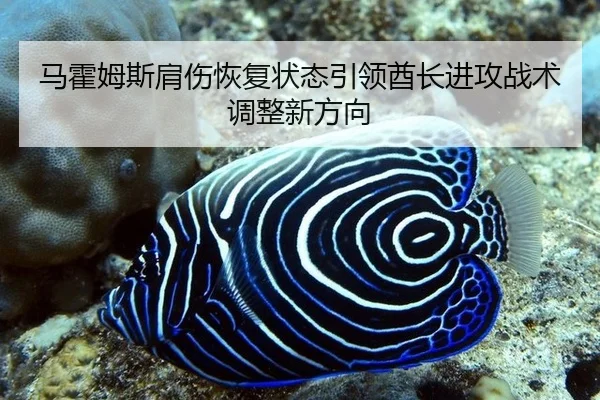 ma-huo-mu-si-jian-shang-hui-fu-zhuang-tai-yin-ling-qiu-zhang-jin-gong-zhan-shu-tiao-zheng-xin-fang-xiang-2-338.jpg