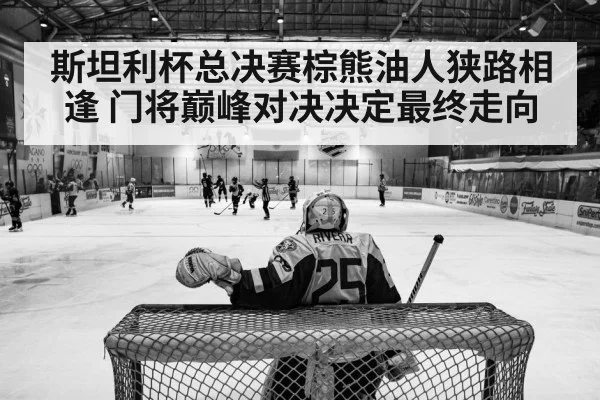 hockey arena action