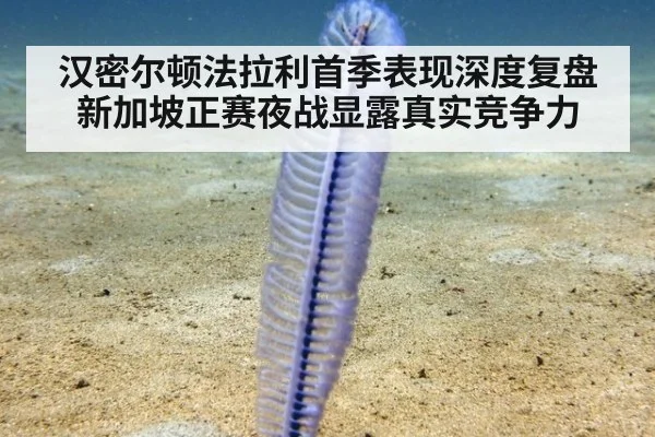 汉密尔顿法拉利首季表现深度复盘新加坡正赛夜战显露真实竞争力